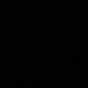 Meet your Posher, Trevor